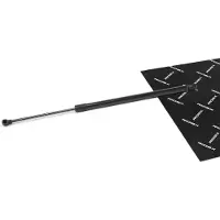 RIDEX 219G1104 Gasveer achterklep