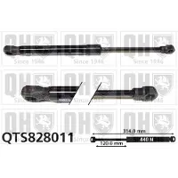 Quinton Hazell QTS828011 Gasveer motorkap