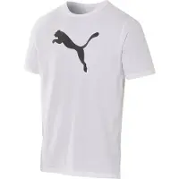 Puma T-Shirt teamRISE Logo - White
