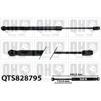 Quinton Hazell QTS828795 Gasveer motorkap