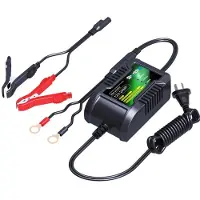 Skyrich 12v 2ah Oplader