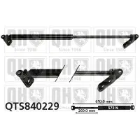 Quinton Hazell QTS840229 Gasveer achterklep