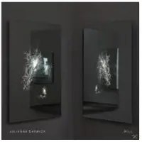 Konkurrent Julianna Barwick - Will (LP)