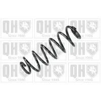 Quinton Hazell QCS8018 Chassisveer