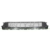 PRASCO DS9542120 Ventilatiegrille, bumper