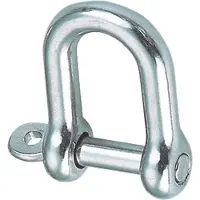 BREG RVS D-sluiting met onverliesbare pin