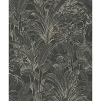Dutch Wallcoverings Asperia - Aliare - Zwart/Zilver