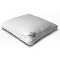 Zydante Goozzy hoofdkussen - 50x60x5 cm - eenden dons