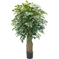 PrettyPlants Ficus Liana Kunstplant 180cm