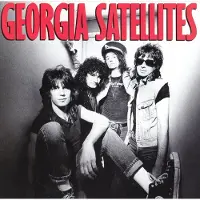 Bertus Distributie Georgia Satellites
