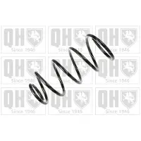 Quinton Hazell QCS8202 Chassisveer