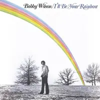 MUSIC ON VINYL I'Ll Be Your Rainbow Vinyl