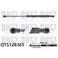 Quinton Hazell QTS128365 Gasveer achterklep