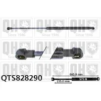 Quinton Hazell QTS828290 Gasveer achterklep