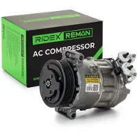 RIDEX 447K0495R Aircopomp