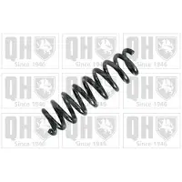 Quinton Hazell QCS6941 Chassisveer