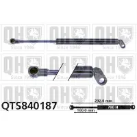 Quinton Hazell QTS840187 Gasveer achterklep