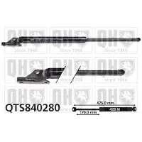 Quinton Hazell QTS840280 Gasveer achterklep