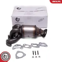 ESEN SKV 62SKV021 Katalysator