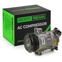 RIDEX 447K0250R Aircopomp