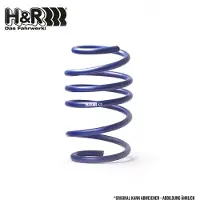 H&R 29979VA1 Chassisveer