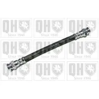 Quinton Hazell BFH5393 Remslang