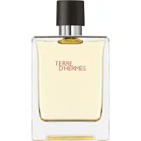 Hermès Paris - Terre D'hermes Eau De Toilette - 100 ML