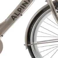 Alpina spatbord set 26 clubb gold met matt
