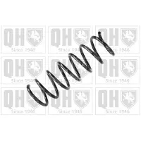 Quinton Hazell QCS5019 Chassisveer