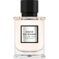 David Beckham Follow Your Instinct - Eau de parfum voor heren - 50 ML