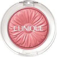 Clinique Honey Collection Cheek Pop Blush Pink Pop