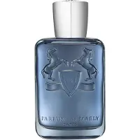 Parfums de Marly Masculine Sedley Eau de Parfum 125 ml
