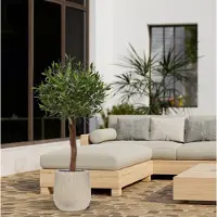 Maxifleur Kunstplanten Olijf Kunstboom op stam 120cm UV in pot