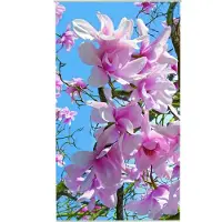 Mars & More Magnolia Outdoor TextielPoster fotoprint 95x170cm