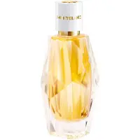 Mont Blanc Signature Absolue Eau De Parfum (edp) 30ml