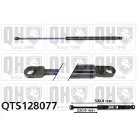 Quinton Hazell QTS128077 Gasveer achterklep