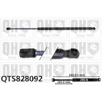 Quinton Hazell QTS828092 Gasveer achterklep