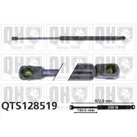 Quinton Hazell QTS128519 Gasveer achterklep