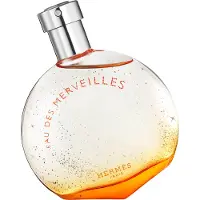 Hermès Paris Eau Des Merveilles EDT 50 ml