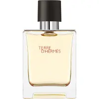 Hermès Paris Terre D'Eau de Toilette 50 ml