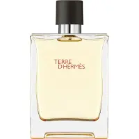 Hermès Paris Terre d'Hermes Eau De Toilette