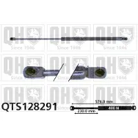 Quinton Hazell QTS128291 Gasveer achterklep