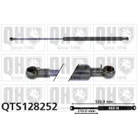 Quinton Hazell QTS128252 Gasveer achterklep