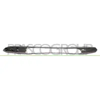 BLIC 6502-07-3509918P Ventilatiegrille, bumper