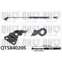 Quinton Hazell QTS840206 Gasveer achterklep