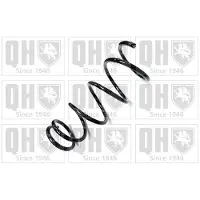 Quinton Hazell QCS6166 Chassisveer