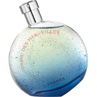 Hermès Paris L'Ombre des Merveilles eau de parfum spray 100 ml
