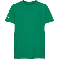 Nike Functioneel shirt 'Park 20' groen