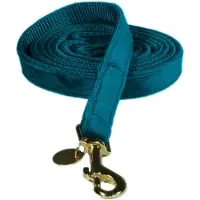 Kentucky Dogwear - Hondenlijn - Maat S - Velvet - Emerald - Lengte 120 cm