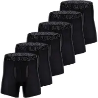 Under Armour Sportondergoed grijs / zwart
